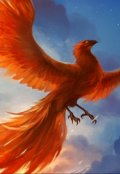 Обложка книги "Аполлон для Мэри."