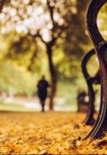Обложка книги "мотыльки"