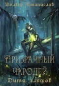 Обложка книги "Призрачный чародей. Дитя эльфов"