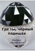 Обложка книги "Где ты чёрный падишах"