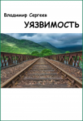 Обложка книги "Уязвимость"