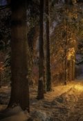 Обложка книги "Транс версия"
