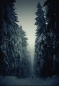 Обложка книги "Моя зима"