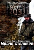 Обложка книги "Удача сталкера"