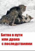 Обложка книги "Битва в пути или драка с последствиями"