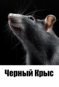 Обложка книги "Черный Крыс"