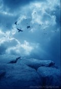 Обложка книги "Встреча"