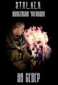Обложка книги "На север"