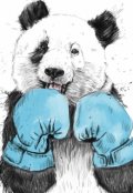 Обложка книги "Ночная пробежка"