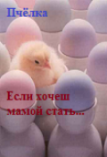 Обложка книги "Ели хочешь мамой стать..."
