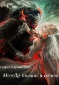 Обложка книги "Между тьмой и огнем"