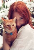 Обложка книги "О котах и о жизни"