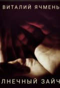 Обложка книги "Солнечный зайчик."