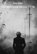 Обложка книги "Серый Наблюдатель"