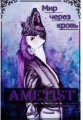 Обложка книги "Ametist"