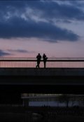 Обложка книги "Разговор на мосту"