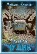 Обложка книги "Чудик"