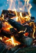 Обложка книги "Монах и ..."