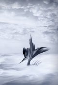Обложка книги "Русалка"