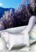 Обложка книги "Смерть "