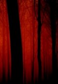 Обложка книги "Кровавый лес"