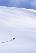 Обложка книги "Короткое лето Тесеи"