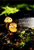 Обложка книги "Добро (из цикла сказок "Дождята")"