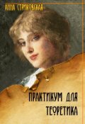 Обложка книги "Практикум для Теоретика"