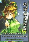 Обложка книги "Сказка о царевне Илане и Василии прекрасном"