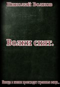 Обложка книги "Волки спят"