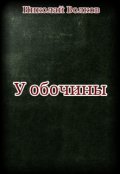 Обложка книги "У обочины"