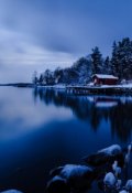 Обложка книги "Причуды совести  "