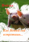 Обложка книги "Как Новый год встретишь..."