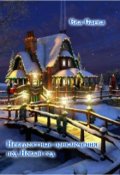 Обложка книги "Невероятные приключения под Новый год"