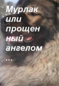 Обложка книги "Ночь лесничего."