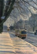 Обложка книги "Суровый дегустатор"