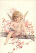 Обложка книги "Амур проказник..."