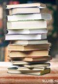 Обложка книги "Адская книга"