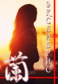 Обложка книги "Экслибрис"