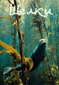 Обложка книги "Шелки"