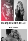 Обложка книги "Возвращение домой"