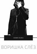 Обложка книги "Воришка слёз"