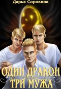 Обложка книги "Один дракон &mdash; три мужа"