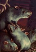 Обложка книги "Крысиная таверна"