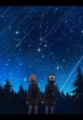 Обложка книги "Звездопад"