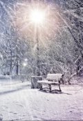 Обложка книги "Снег с луны"