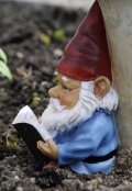 Обложка книги "Не чтимый покровитель."