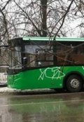 Обложка книги "Пластиковые отношения"