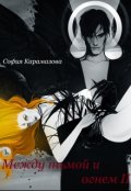 Обложка книги "Между тьмой и огнем 2"