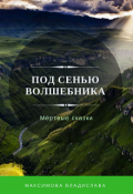 Обложка книги "Под сенью волшебника"